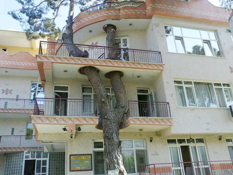 agaclar-kesilmesin-turkiye
