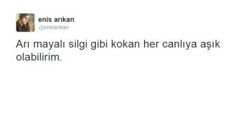 İlkokulu Tekrar Okuma Sebebi Arı Maya’lı Silgi’nin Unutulmaz Olmasının 15 Nedeni