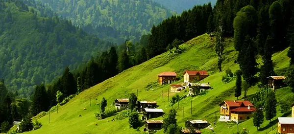 ayder