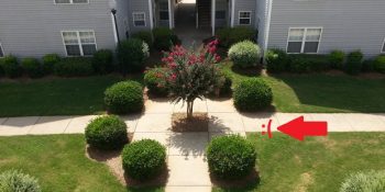 Gördüğünüzde Sağ Gözünüzün Seğirmesine Neden Olabilecek 15 Düzen Yoksunu Fotoğraf