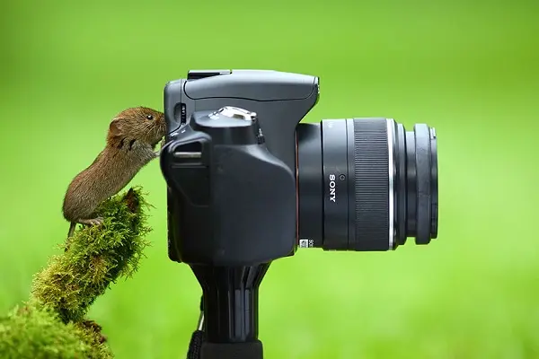 fare-fotografi-listelist
