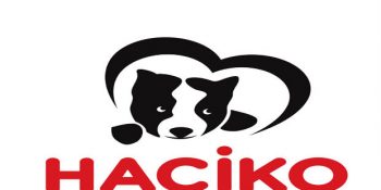 Haçiko ve Ömür Gedik’in Hayvan Hakları Savunması İle İlgili 6 Miyav Bilgi