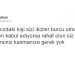 13 Özelliğiyle Tanısanız Aslında Seversiniz Dedirten İkizler Burcu İnsanları