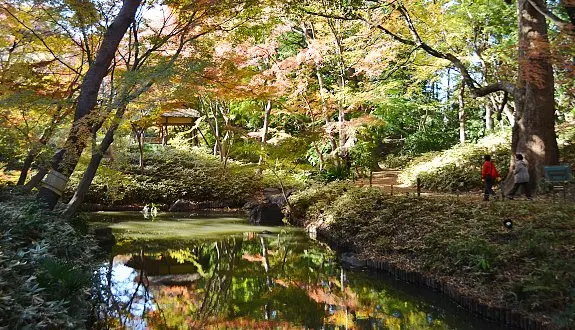japon-bahcesi-listelist