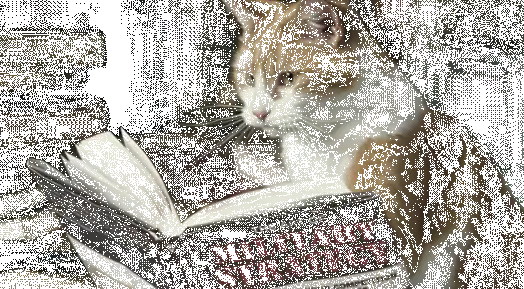 kitap-ceviren-kedi