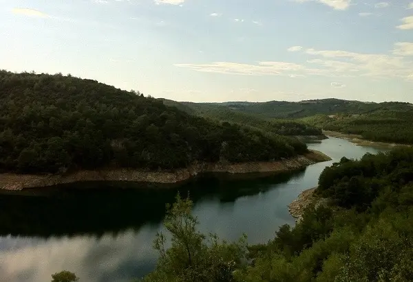 manzara