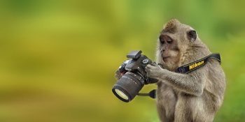 Ara Güler’in İzinden Giden 13 Sevimli Fotoğrafçı