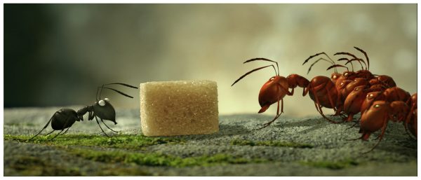 minuscule-valley-of-the-lost-ants11