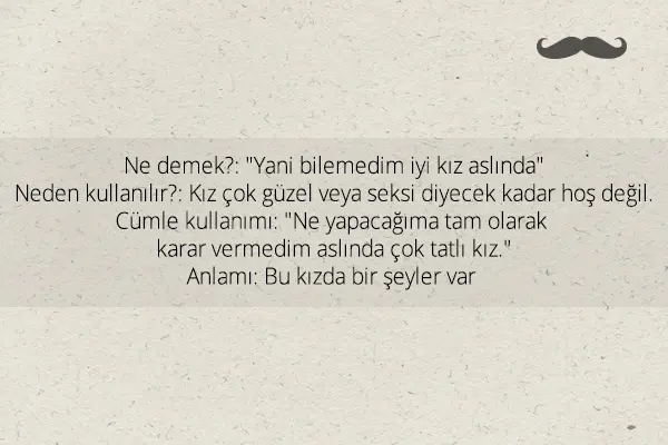 ne soyler