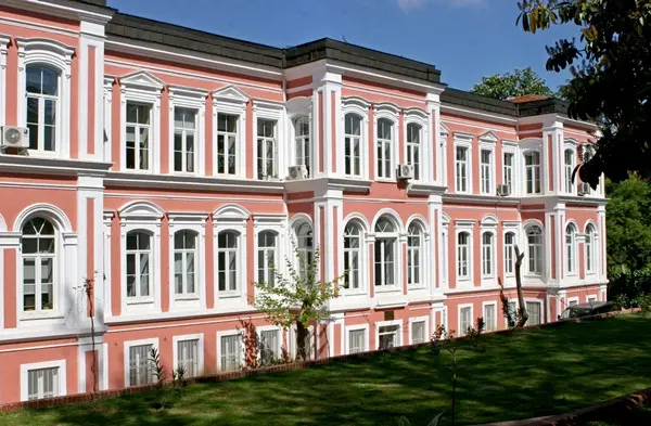 sarayda okuyorum