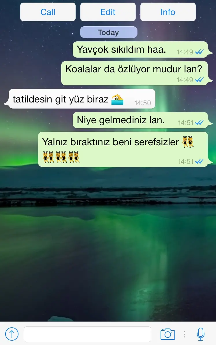 screenshot-anil-listelist