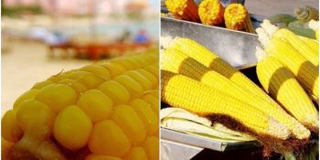 Haşlanmış Süt Mısıra Duyduğumuz Bol Tuzlu Aşkın 9 Nedeni