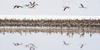 Türkiye’de Yok Olmadan Önce Görülmesi Gereken 10 Cennet Bölge