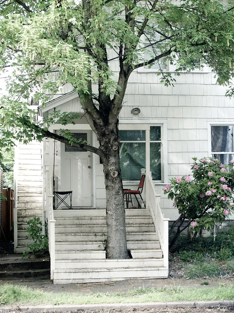 veranda-agac-ev