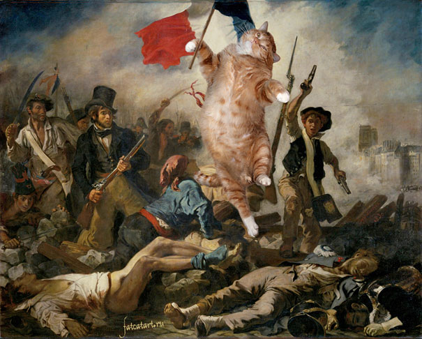 Delacroix kedi