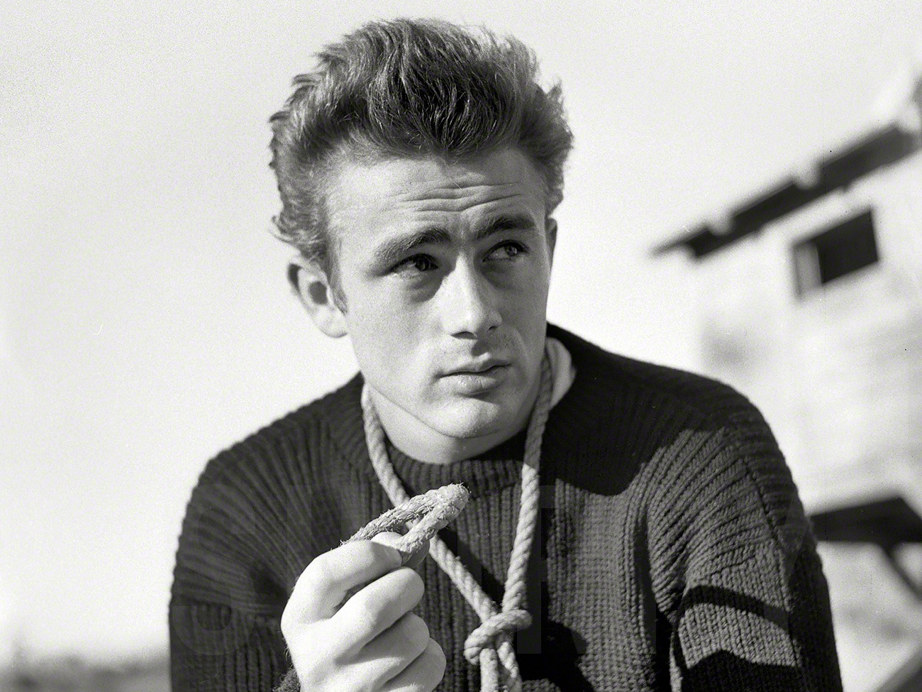 James Dean Photoshoot