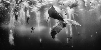 National Geographic Traveler 2015 Yarışmasının 10 Kazananıyla Bir Dünya Turu