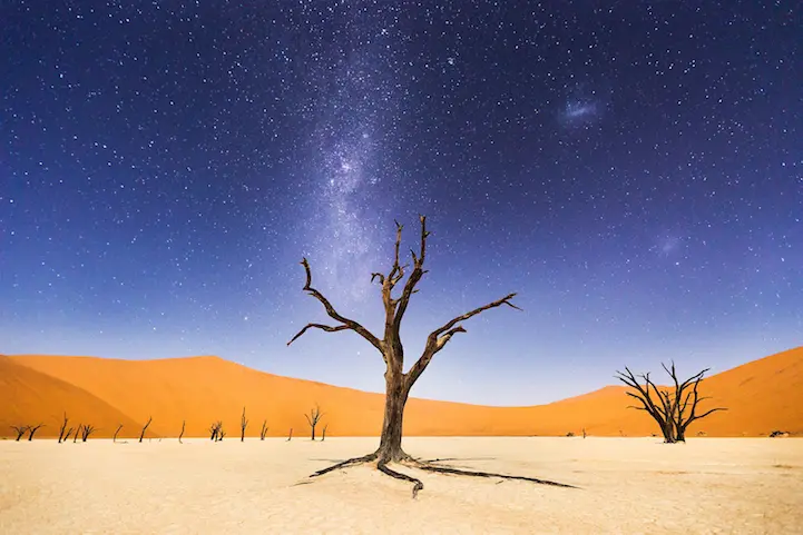 The night before returning to Windhoek, we spent several hours at Deadveli. The moon was bright enough to illuminate the sand dunes in the distance, but the skies were still dark enough to clearly see the milky way and magellanic clouds. Deadveli means "dead marsh." The camelthorn trees are believed to be about 900 years old, but have not decomposed because the environment is so dry.