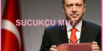 Şehit Kardeşine ‘Ağabeyin de bu mesleği seçmeseydi!’ Diyen Erdoğan’ın 9 Mesleği