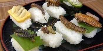 Cehalet Gerçekten Mutlulukmuş Dedirten 11 Gerçek