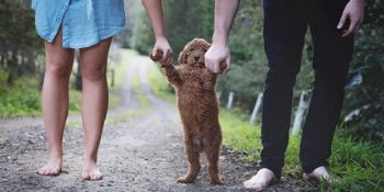 Çocuk İstemediklerini Etrafındakilere Eğlenceli Bir Şekilde Anlatan Çiftin Hikayesi