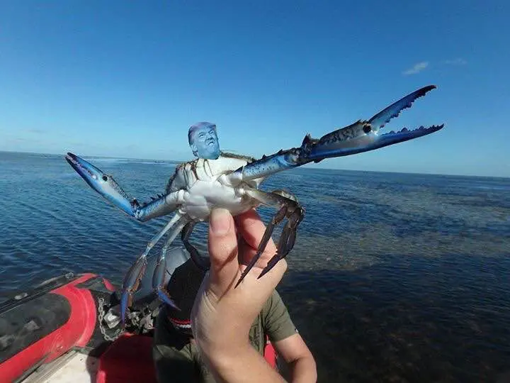 crab-9gag-hand-man