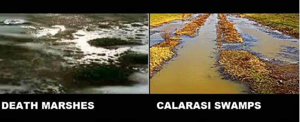 death-marshes-calarası-swamps