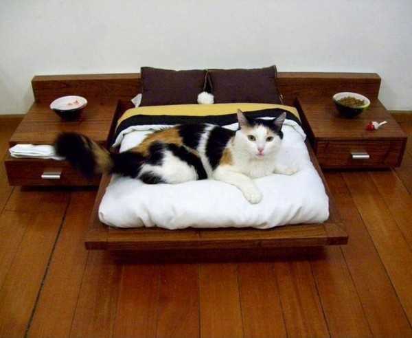 dog-cat-beds-pet-design-ideas-1