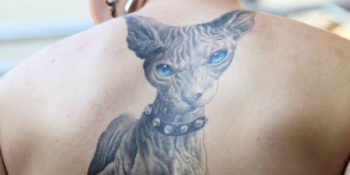 Dövmesi Olanları Hayattan Bezdiren 13 Çok Gereksiz Soru