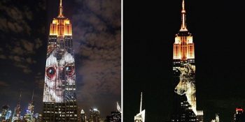 Nesli Tükenen Hayvanlar İçin Gecenin Karanlığına Işık Tutan Empire State