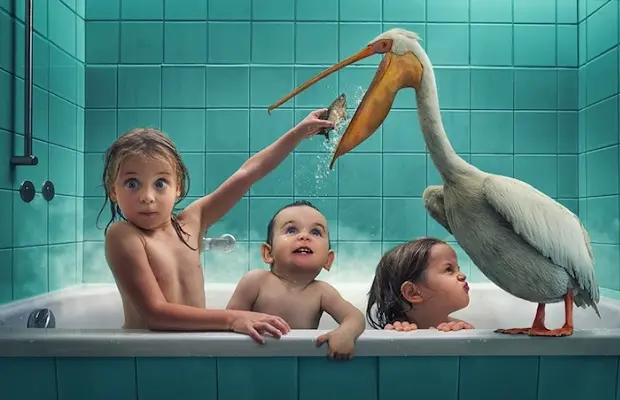 johnwilhelm