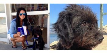 Tatildeyken Onu Kurtaran Köpeği Sahiplenen Georgia’nın Sürprizlerle Dolu Hayatı