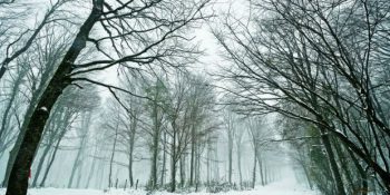 Bıktıran Sıcaklar Arasında Türkiye’den İç Serinleten 8 Kış Rotası