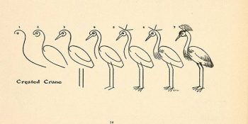 Resim Çizme Yeteneğinden Yoksun Kişilerin İşini Kolaylaştıracak 9 Tüyo