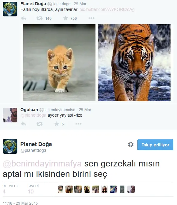 planetdogaaptal