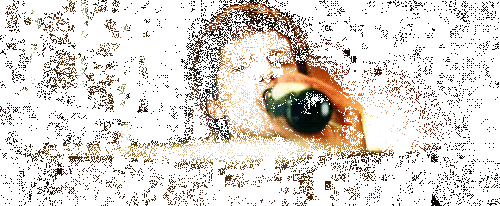 socialnetworkgiphy