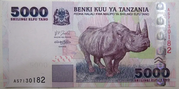 tanzanya-silini-para