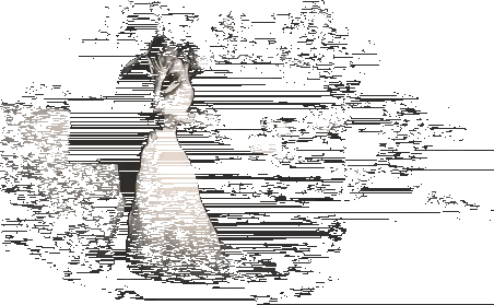 wedding fight