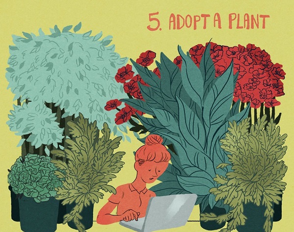 5.Plants
