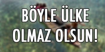 Ulan Yeter Böyle Ülke Olmaz Olsun Dedirten 8 Fotoğraf