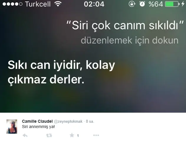 Siri-annemmis