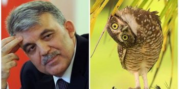 Abdullah Gül’ün Suskunluğunu Bozmasına Doğadan Gelen 11 Ilımlı Tepki