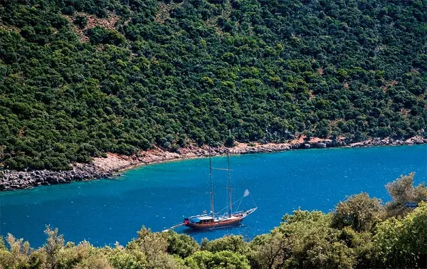 aperlai t