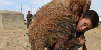 Geçtiğimiz Haftaları Özetleyen En Güçlü 16 Fotoğraf