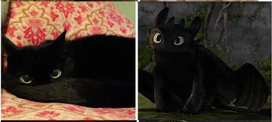 cat-dragon-simsek