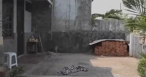 disappear