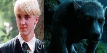 6 Maddede Draco Malfoy Kurt Adam Olabilir Teorisi