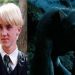 6 Maddede Draco Malfoy Kurt Adam Olabilir Teorisi