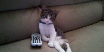 Elinden TV Kumandası Düşmeyenlerin Anlayabileceği 10 Durum