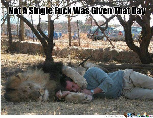 fuckNot-a-single-fuck-was-given-that-day_aslan